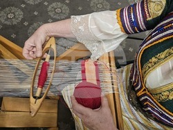 Български фолклорни състави в чужбина - среща