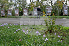 Варна - парк-музей „Владислав Варненчик” - изложба