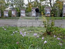 Варна - парк-музей „Владислав Варненчик” - изложба