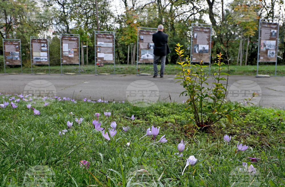 Варна - парк-музей „Владислав Варненчик” - изложба