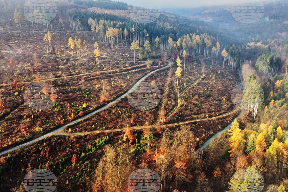 Страните от ЕС одобриха отлагането с още една година на влизането в сила на европейския закон срещу обезлесяването, съобщи Франс прес