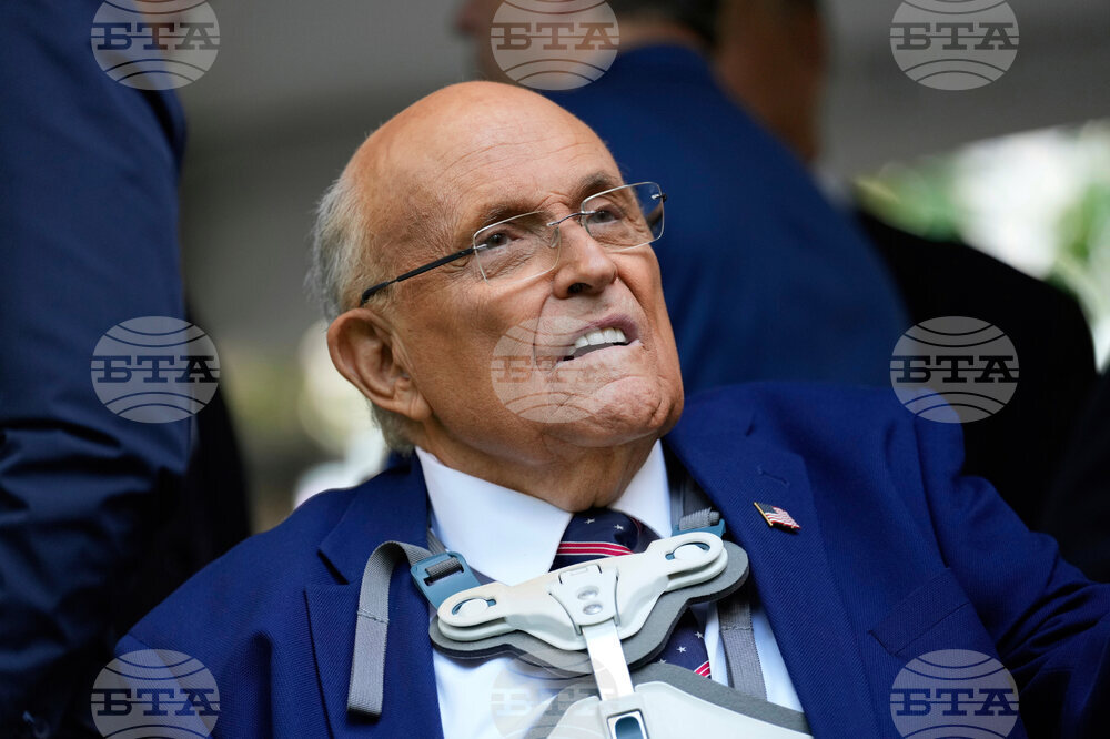 Trump Pardons 2020 Election