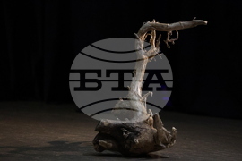 Благоевград - Национален студентски фестивал - театрална постановка