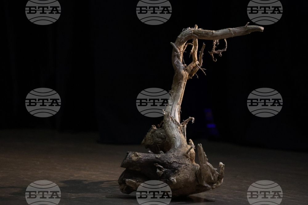 Благоевград - Национален студентски фестивал - театрална постановка