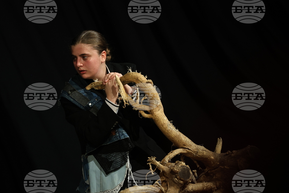 Благоевград - Национален студентски фестивал - театрална постановка