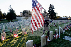 Veterans Day Open Closed