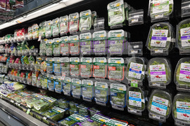 Government Shutdown Food Aid