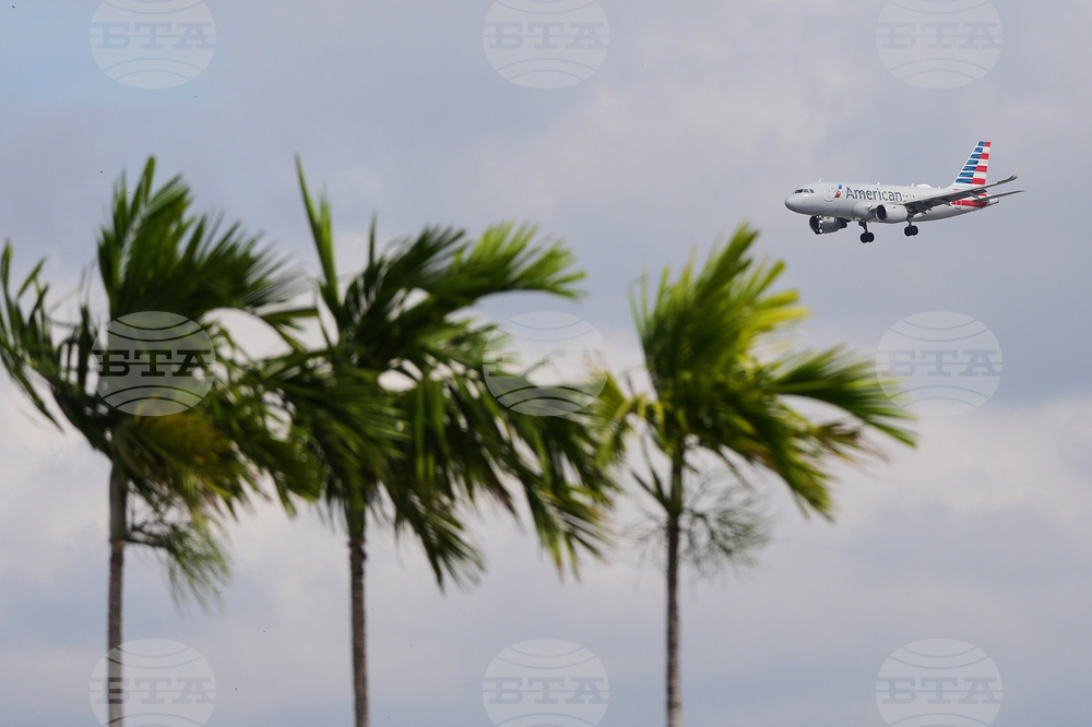 Редки палми в Рио де Жанейро цъфтят само веднъж, преди да умрат