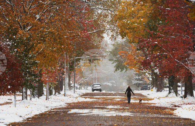 Wintry Weather Michigan