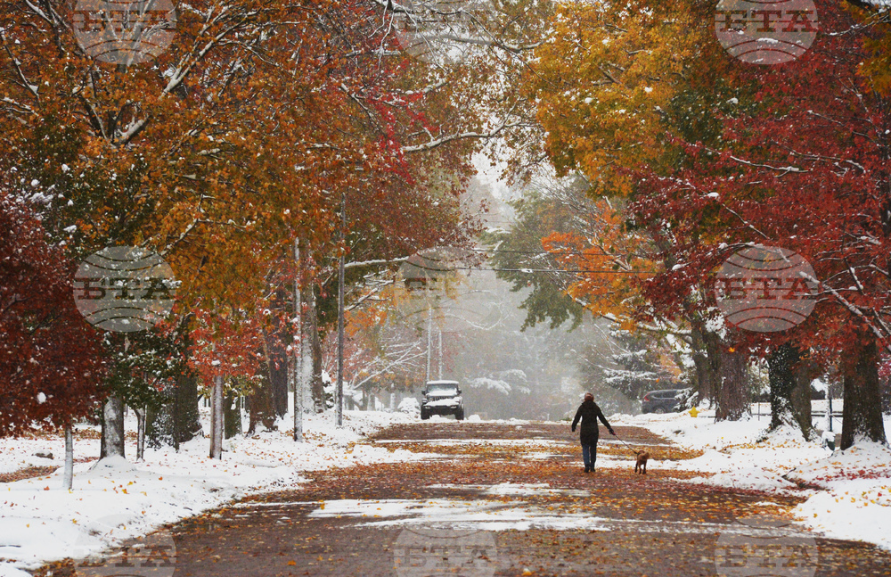 Wintry Weather Michigan