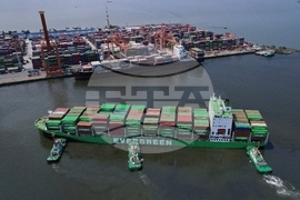 Climate COP30 International Shipping