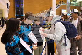 CFL Grey Cup Football