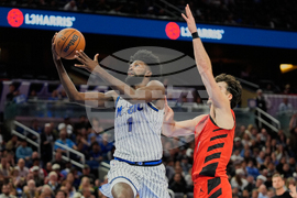 Trail Blazers Magic Basketball