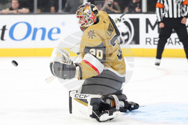 Panthers Golden Knights Hockey
