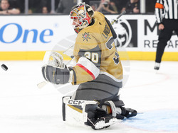 Panthers Golden Knights Hockey