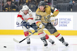 Panthers Golden Knights Hockey