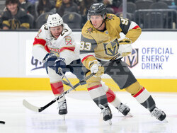 Panthers Golden Knights Hockey