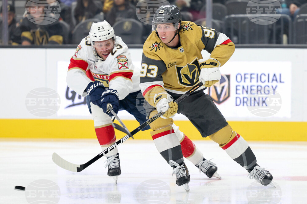 Panthers Golden Knights Hockey