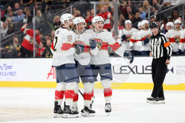 Panthers Golden Knights Hockey