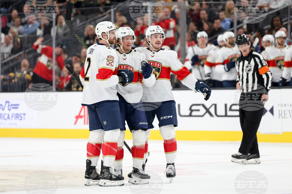 Panthers Golden Knights Hockey