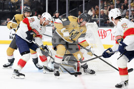 Panthers Golden Knights Hockey