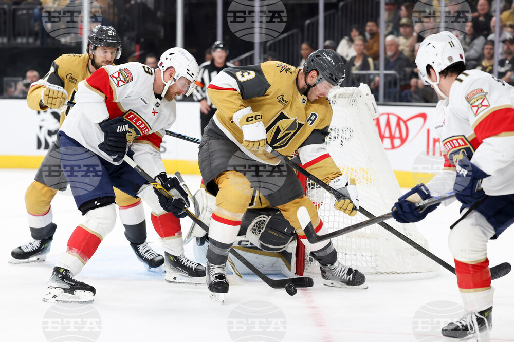 Panthers Golden Knights Hockey