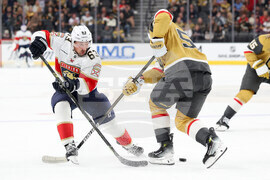Panthers Golden Knights Hockey