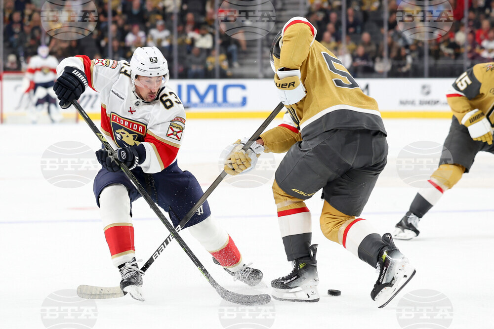 Panthers Golden Knights Hockey