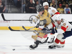 Panthers Golden Knights Hockey