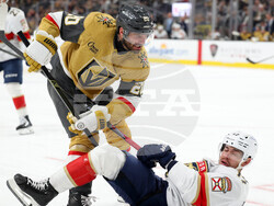 Panthers Golden Knights Hockey