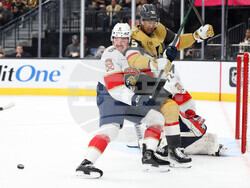 Panthers Golden Knights Hockey