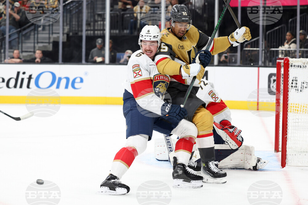 Panthers Golden Knights Hockey