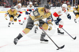 Panthers Golden Knights Hockey