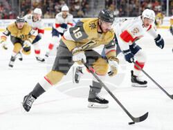 Panthers Golden Knights Hockey