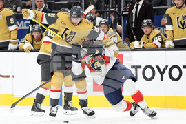 Panthers Golden Knights Hockey