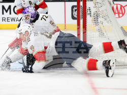 Panthers Golden Knights Hockey