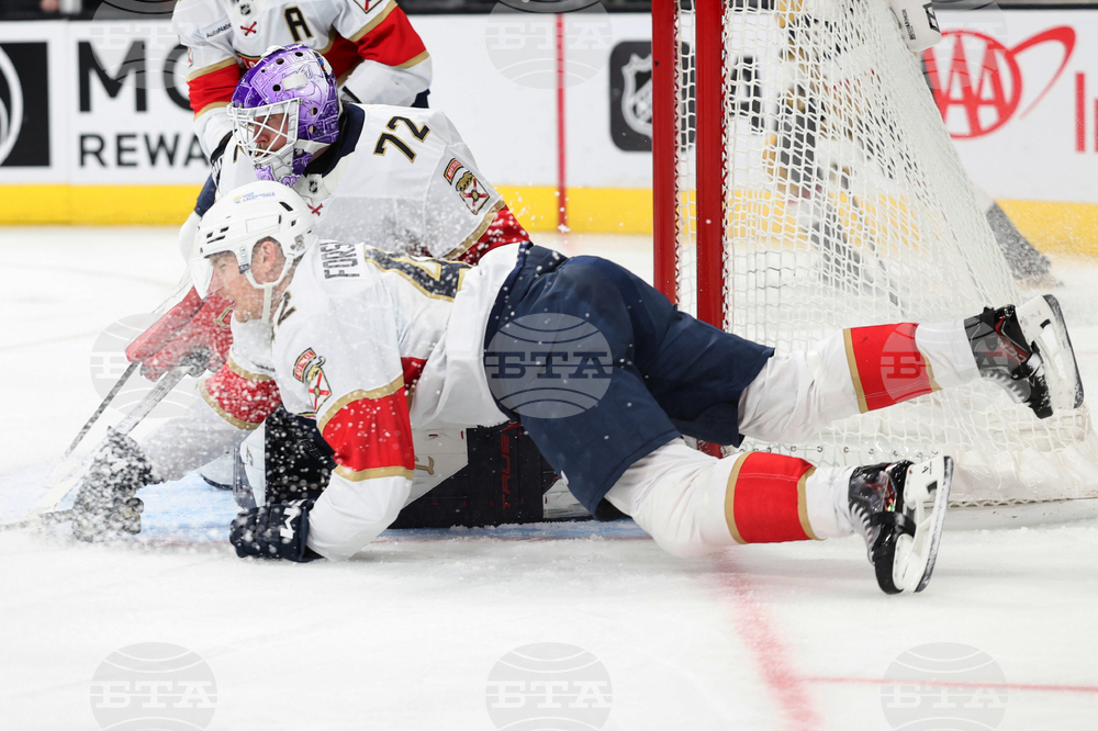 Panthers Golden Knights Hockey