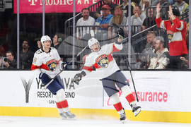 Panthers Golden Knights Hockey