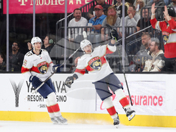 Panthers Golden Knights Hockey