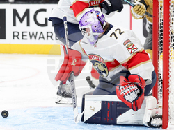 Panthers Golden Knights Hockey