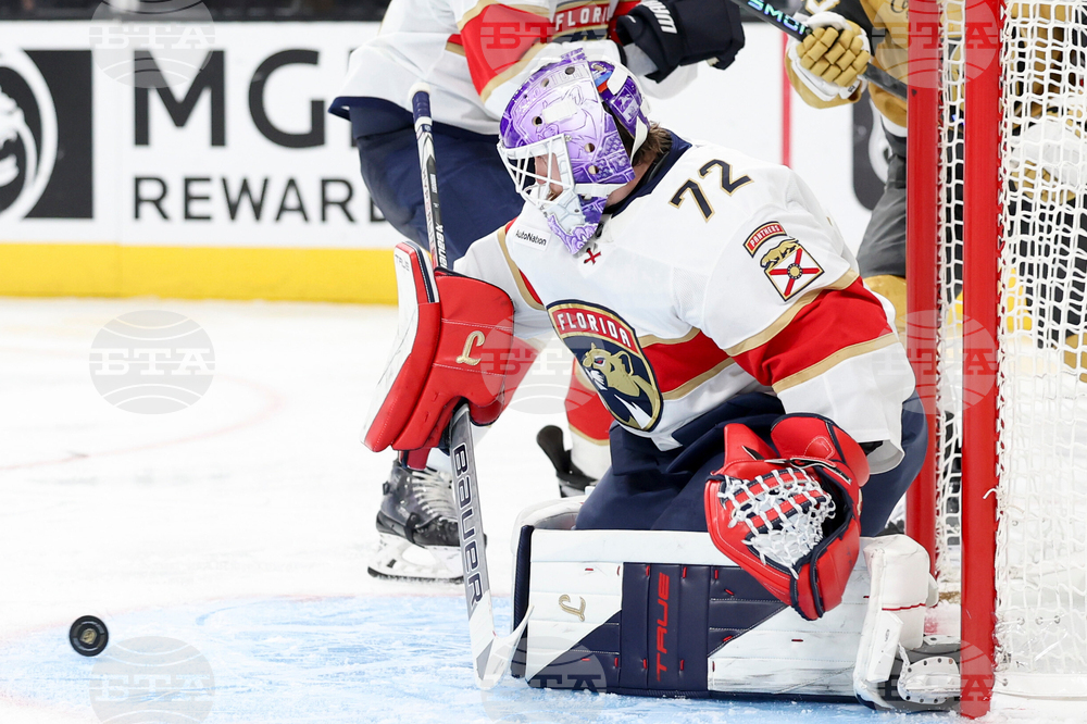 Panthers Golden Knights Hockey