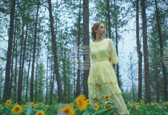 Film Review - Train Dreams