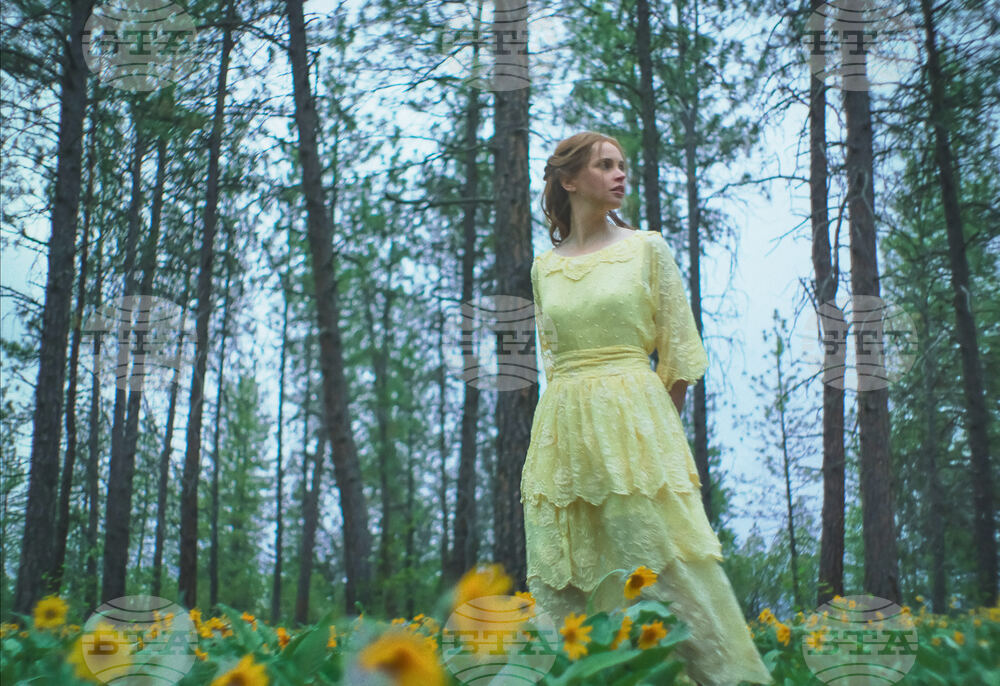 Film Review - Train Dreams