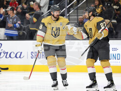 Panthers Golden Knights Hockey