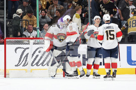 Panthers Golden Knights Hockey