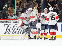 Panthers Golden Knights Hockey