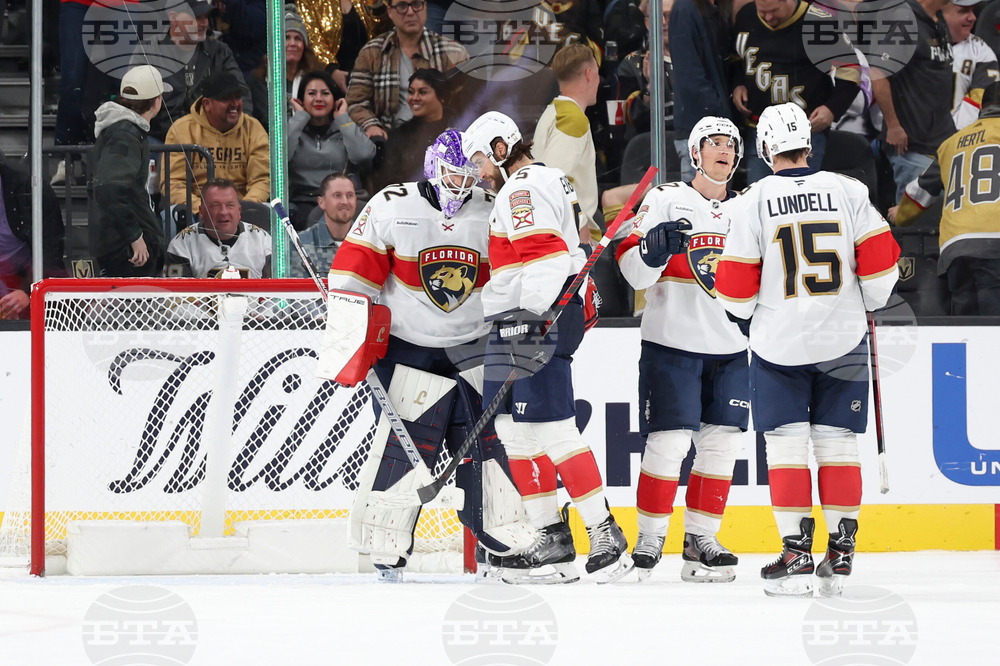 Panthers Golden Knights Hockey