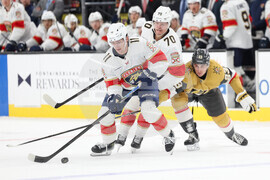 Panthers Golden Knights Hockey