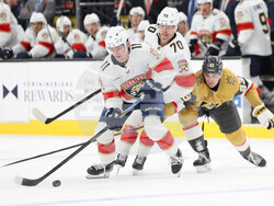 Panthers Golden Knights Hockey