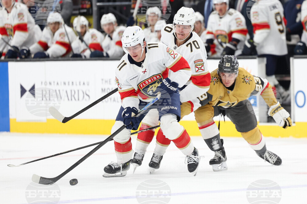 Panthers Golden Knights Hockey